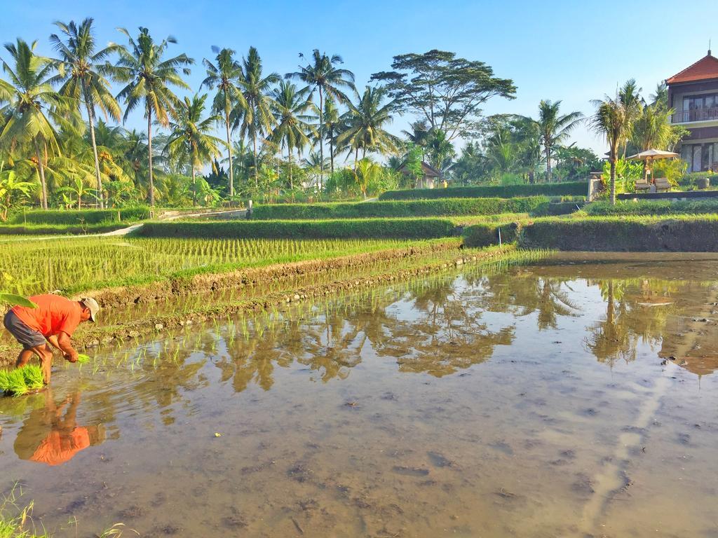 The Suris Ubud Esterno foto