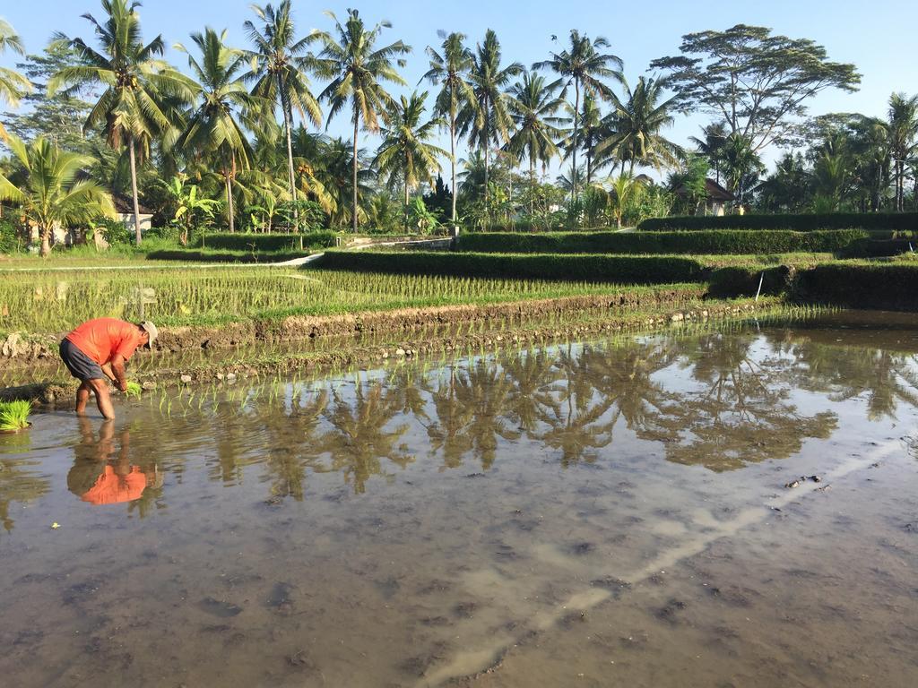 The Suris Ubud Esterno foto