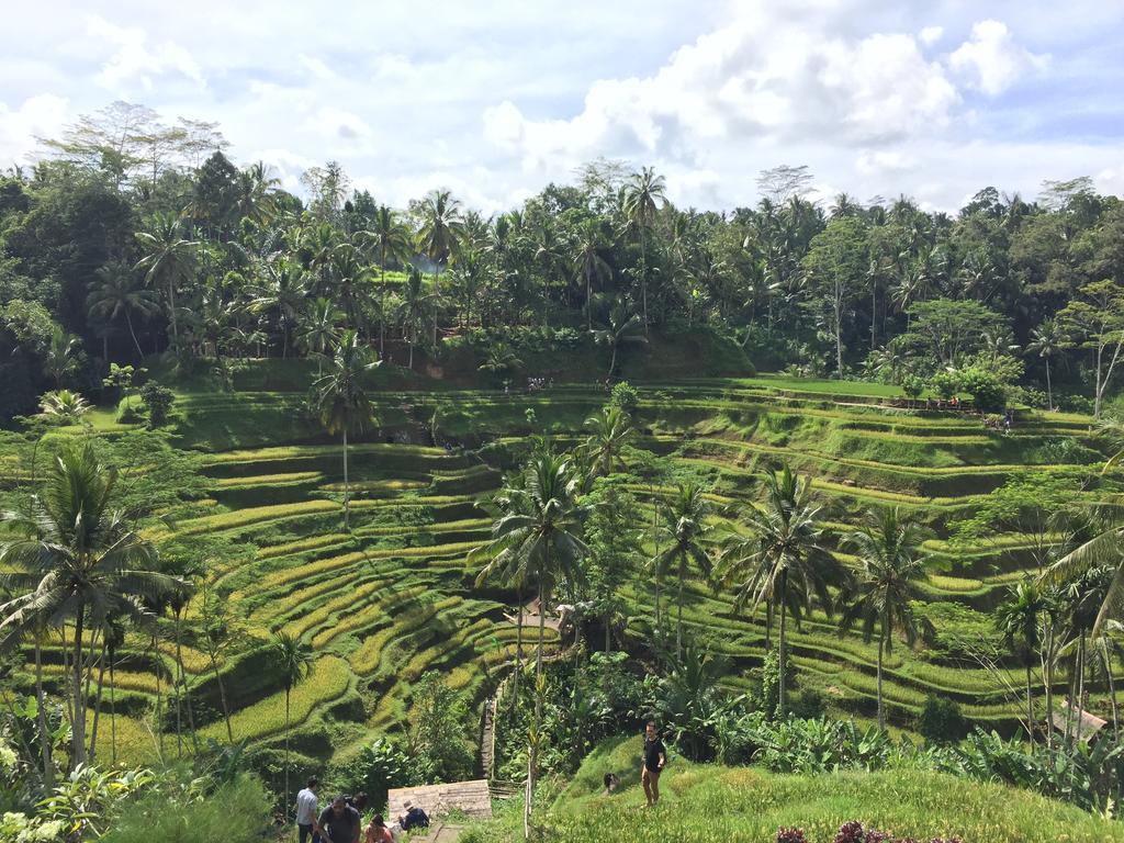 The Suris Ubud Esterno foto